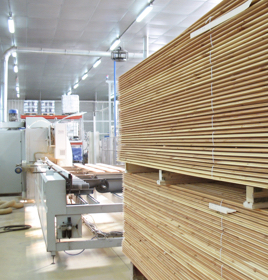 Wood processing (photo)