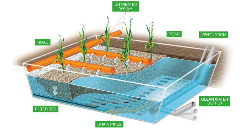 Graphic describing the combination of bacteria, reeds and filter layers makes it possible to purify the water without adding any chemicals (photo)