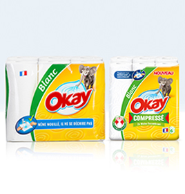 Two packs of "Okay" paper towels (photo)