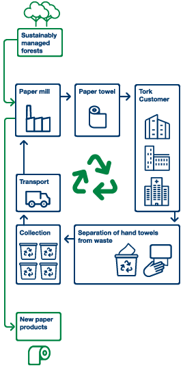 New service for recycling paper towels (illustration)